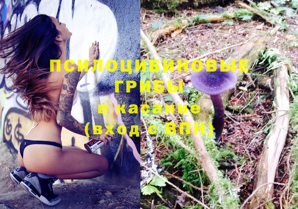 дмт Баксан